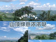 -深圳市中科院仙湖植物园