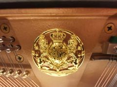 -柏斯琴行(汾阳店)