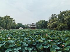 -莲池书院博物馆