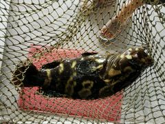 -邹记·美食(斗门店)