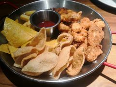 -百好乐宠物友好餐厅(朝外大街店)