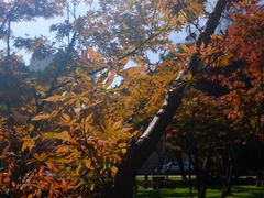 -云南师范大学(一二一西南联大校区)