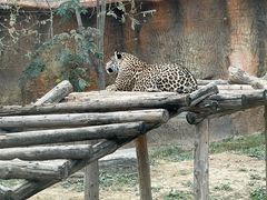 -北京野生动物园