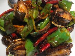 船歌辣炒小鲍鱼-船歌·鱼水饺青岛菜(闽江二路店)