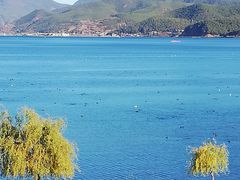 -泸沽湖里格半岛