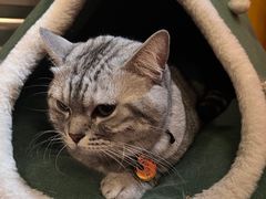-H立方实景剧情密室(天河旗舰店)