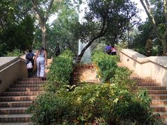 -九龙公园