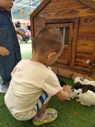 -萌宠亲子动物乐园(槐房万达店)