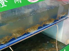 -阳澄湖大闸蟹·琼灵阁牌品牌连锁(吴中总店)