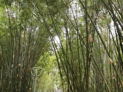 -晓港公园