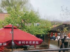 -老村长农家院