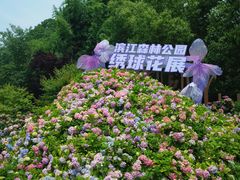 -上海滨江森林公园