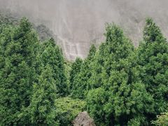 -重庆睡佛山森林公园