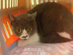 -联合动物医院(光谷诊疗中心)