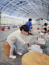 -前小桔亲子创意农场·草莓采摘·露营烧烤