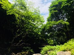 -溪口-滕头旅游景区