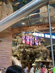 -卡通尼·Safari非洲探索乐园·生日会(金桥国际商业广场店)