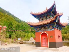 -遵化市禅林寺古银杏风景园