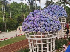 -深圳仙湖植物园