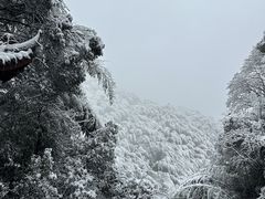 -莫干山风景区
