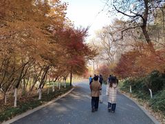 -三百碗宝应长鱼面(板仓街店)