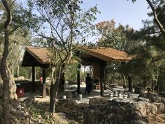 -阳台山自然风景区