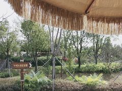 -珠海海泉湾神秘岛亲子乐园