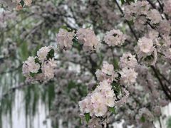 -陶然亭公园