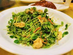 -金杏·粘卷子 烤鸭 农家菜