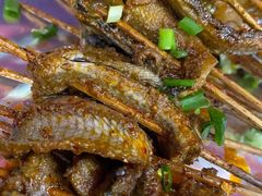 鳝鱼-晓靖轩烧烤(沙河风情店)