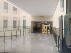 -首都医科大学附属北京天坛医院