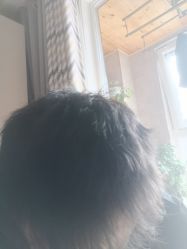 -魅力发型