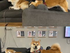 -YCHL Studios健身工作室(市二宫店)