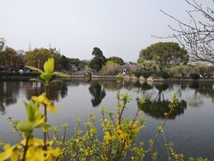 -无锡蠡湖国家湿地公园-蠡园