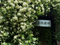 -斯多格书乡(北京大学畅春园店)