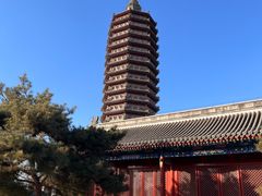 -西海子公园