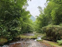 -蜀南竹海景区