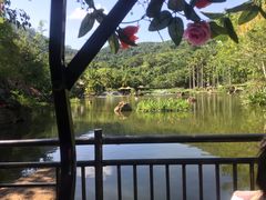 -三亚湾红树林度假酒店美食街