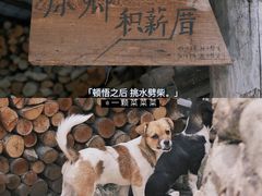 -原乡芦茨咖啡