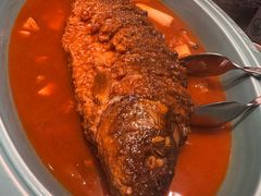 -阿五黄河大鲤鱼(英协路店)
