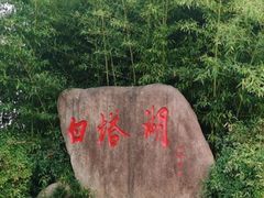 -白塔湖国家湿地公园