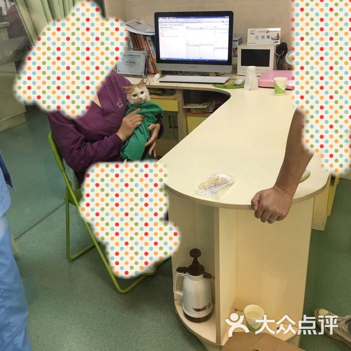 成都圣心动物医院