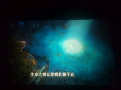 -万达影城(长沙婚庆公园中国巨幕店)