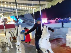 -沈阳奥体冰雪嘉年华