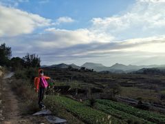 -大姆山草场