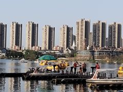 -洋湖国家湿地公园