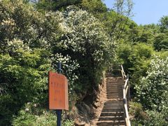 -少华山国家森林公园