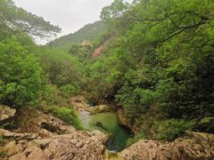 -南海湾森林生态园