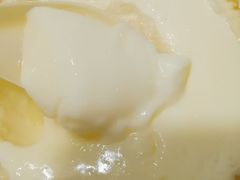 -无影脚佛山陈氏盲公丸始创店(飞鸿街店)