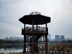-滨湖塘西河公园